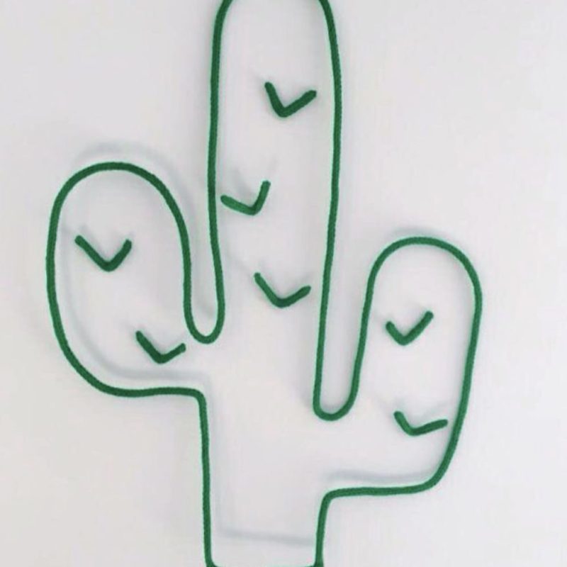 Tricotin Laine Cactus